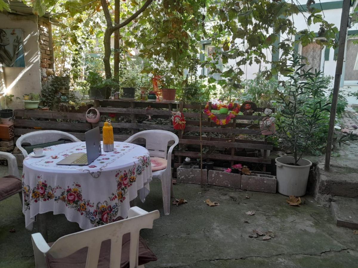 Adem'S Cozy Terrace Retreat Bed and Breakfast Skopje Buitenkant foto